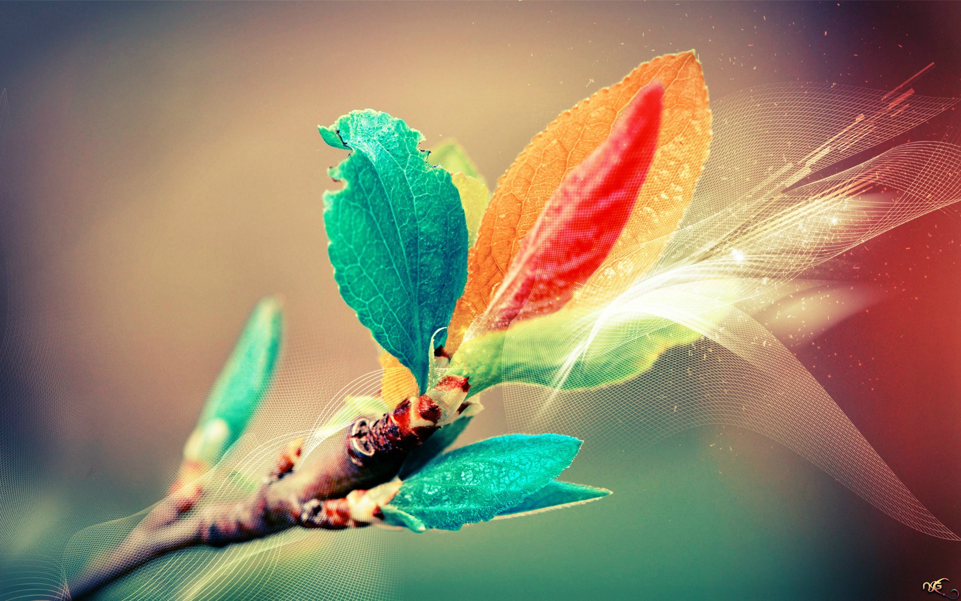 1920 x 1080 HD Wallpapers 1458